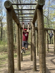 IMG 4501